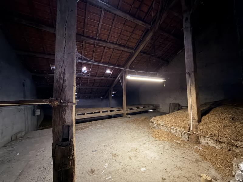 Ferme - 173 m² - 5 pièces