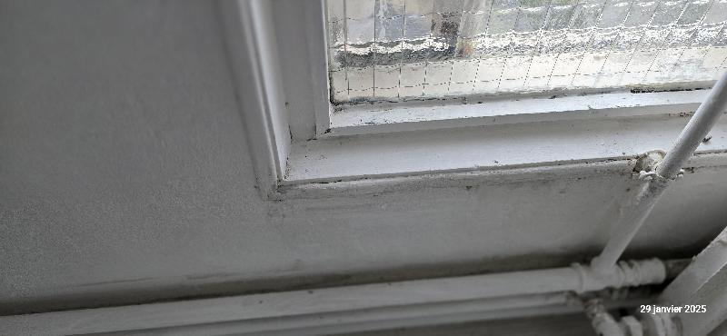 Appartement - 100 m² - 5 pièces