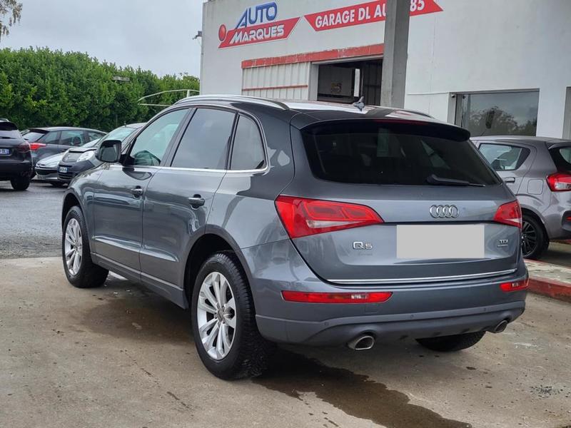Audi Sq5 3.0 V6 Tdi 258 s line Competition Plus Quattro s t