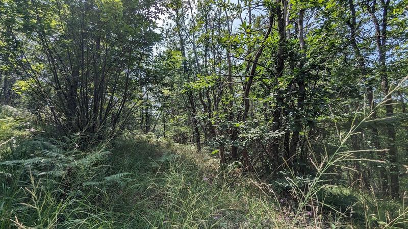 Terrain inconstructible - 38 528 m²