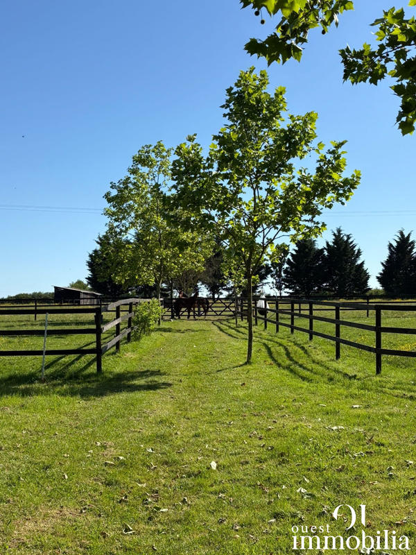 Maison - 206 m² - 8 pièces