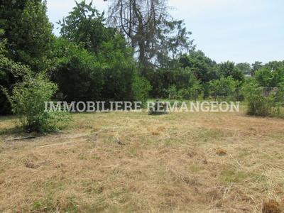 Terrain constructible - 1 304 m²