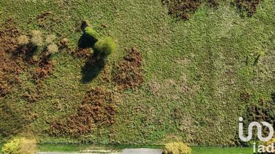 Terrain - 53 098 m²