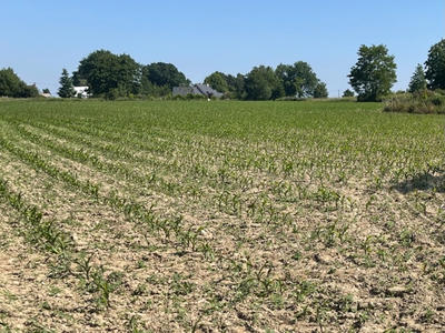 Terrain constructible - 9 678 m²