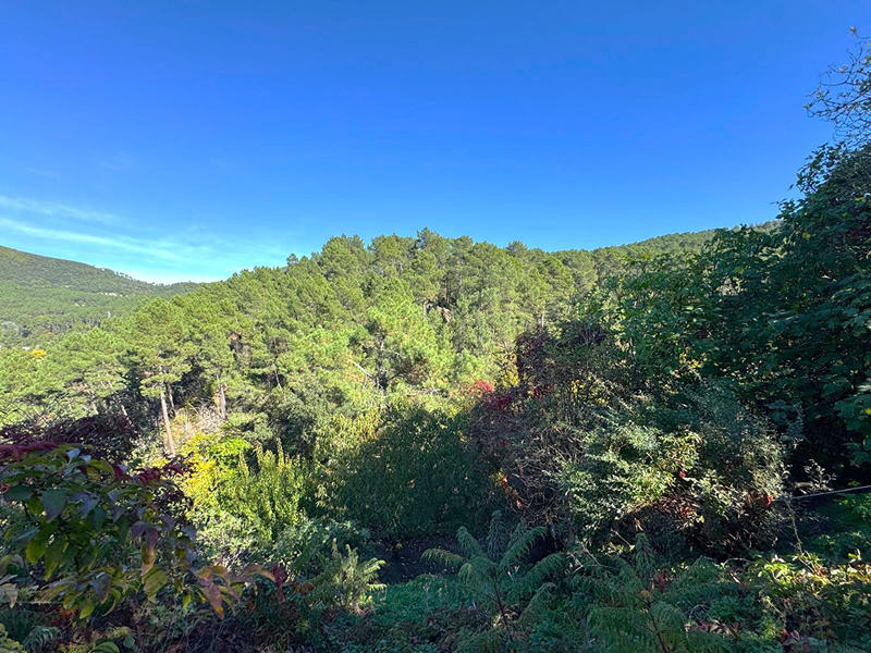 Maison - 73 m² - 4 pièces