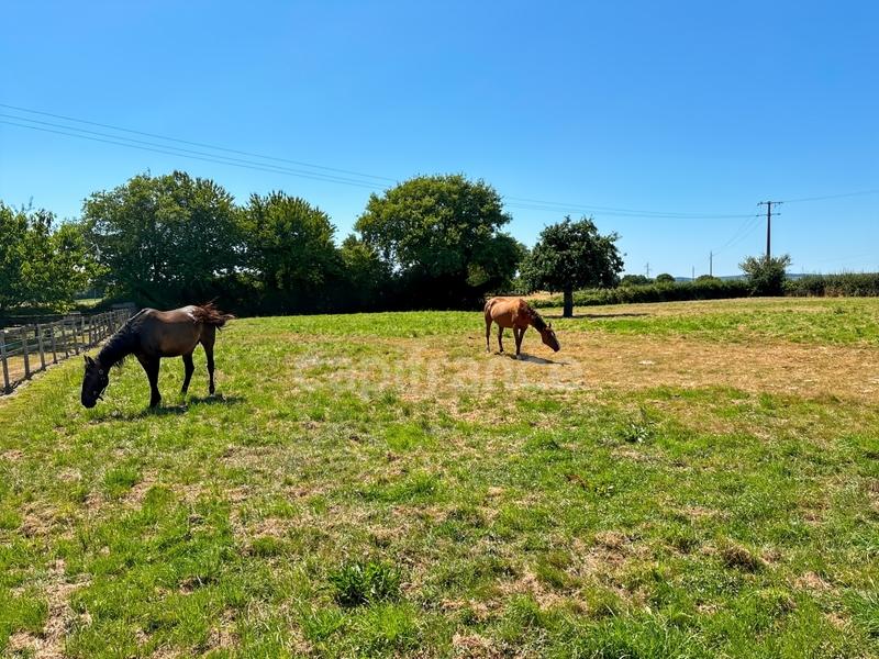 Maison en pierre - 142 m² - 5 pièces