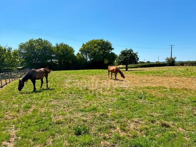 Maison en pierre - 142 m² - 5 pièces