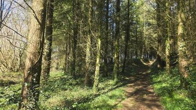 Terrain agricole - 5 600 m²