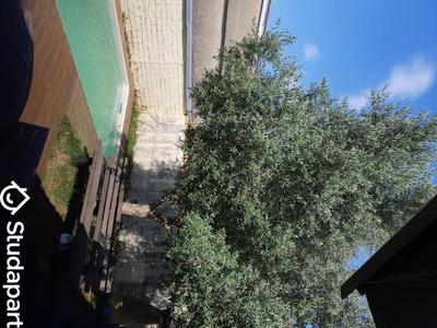 Chambre - 15 m² - 1 pièce