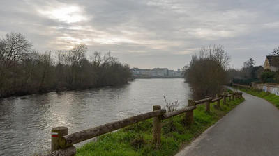 chants d'oiseaux des bords de Vienne