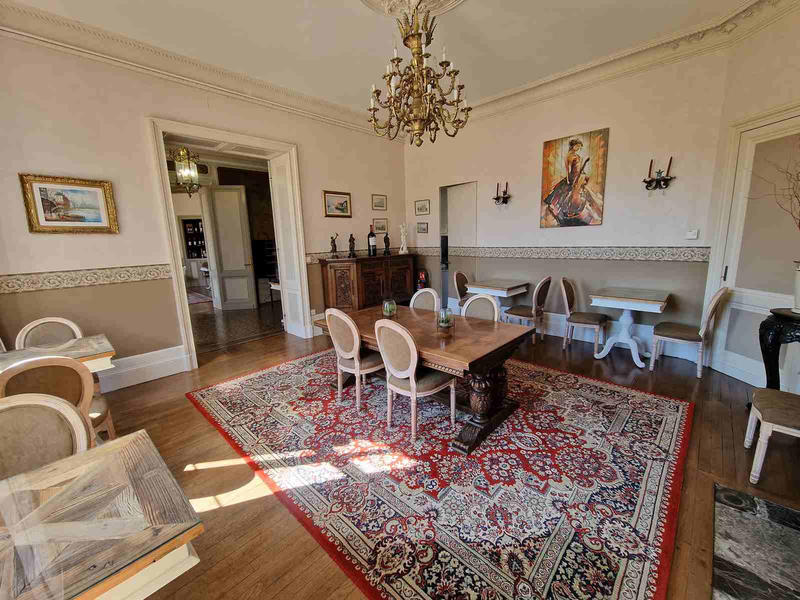 Château - 1 500 m² - 25 pièces