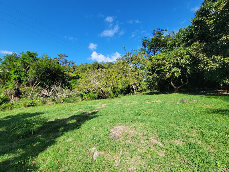 Terrain - 18 170 m²