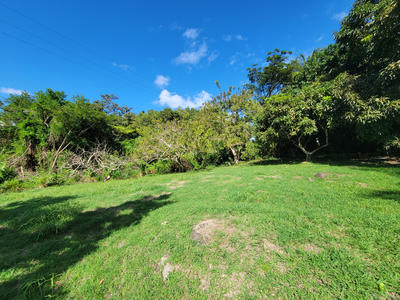 Terrain - 18 170 m²