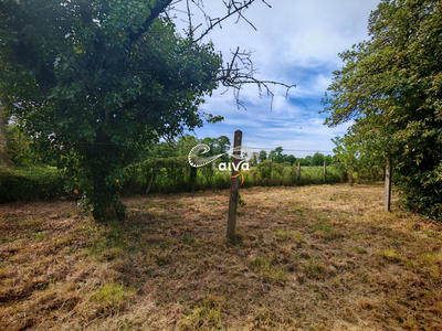 Maison ancienne - 45 m² - 3 pièces