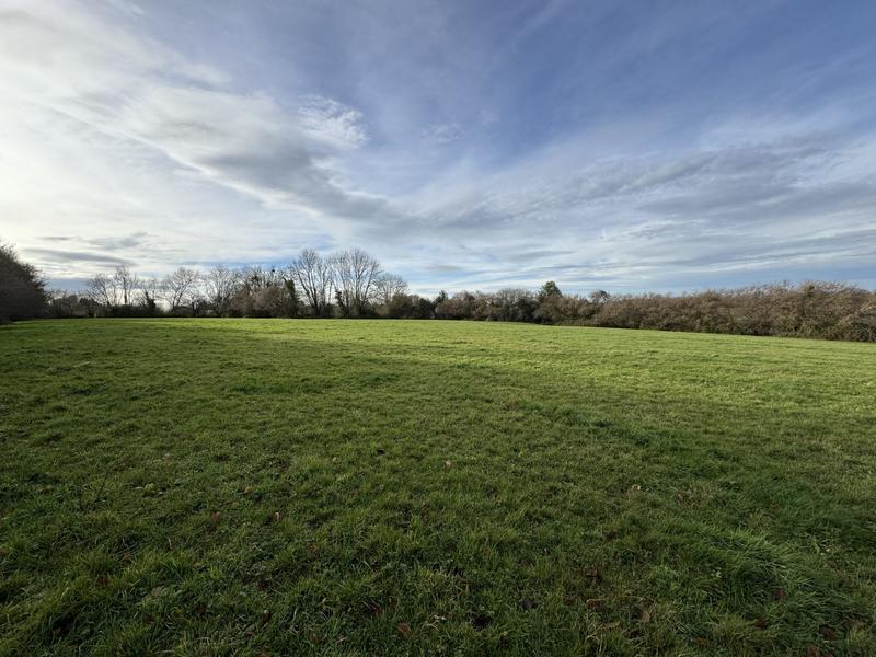 Maison ancienne - 150 m² - 5 pièces