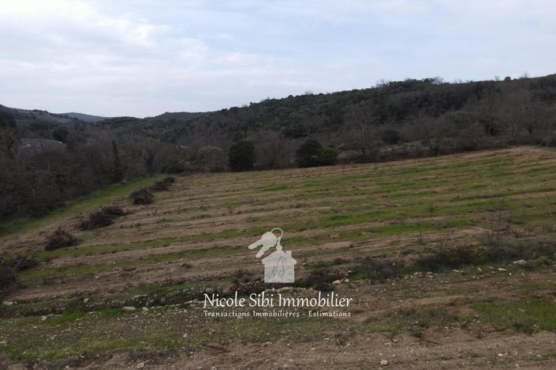 Terrain agricole - 40 428 m²