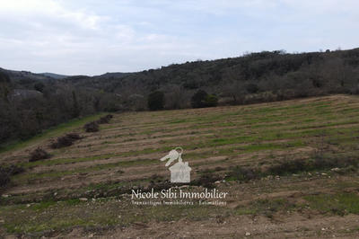 Terrain agricole - 40 428 m²
