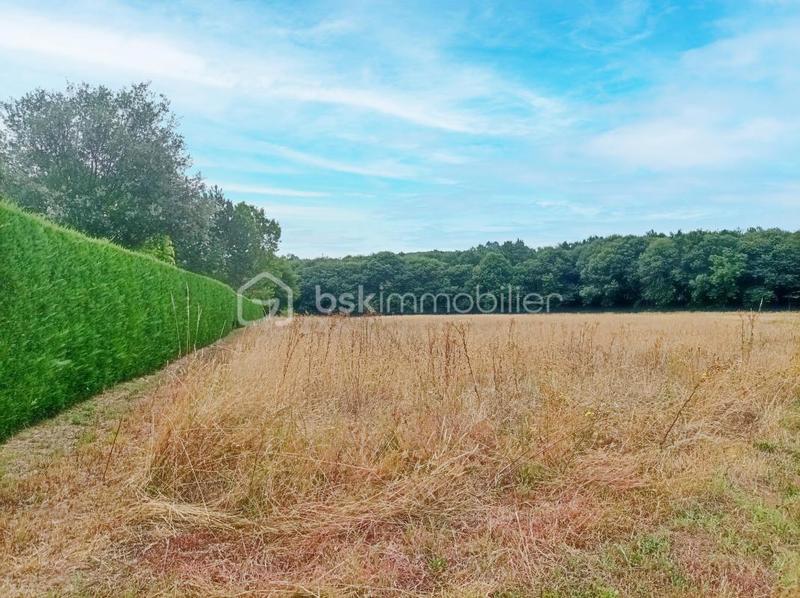 Terrain - 6 614 m²