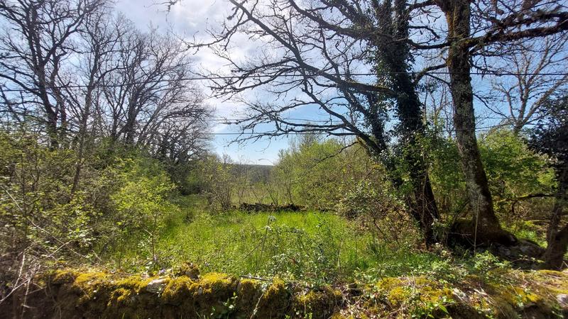 Maison - 326 m² - 15 pièces