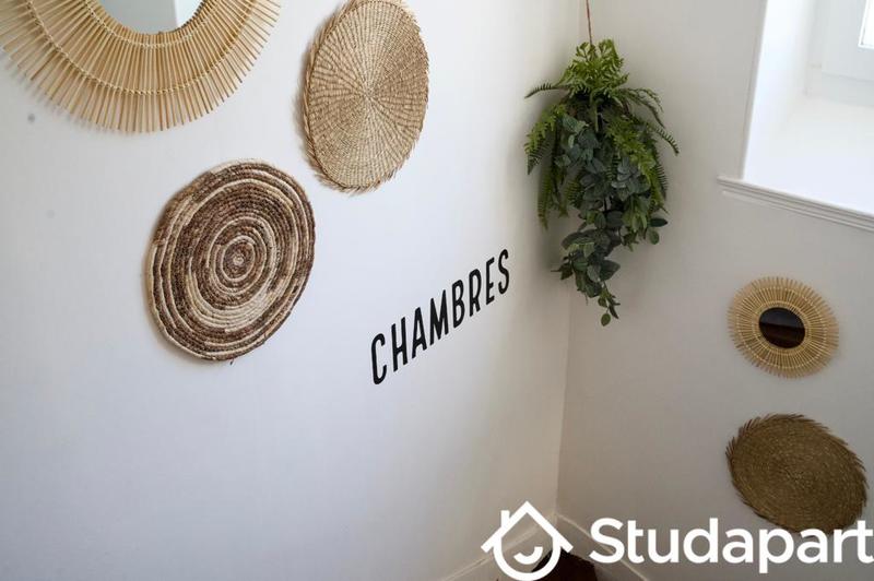 Chambre - 13 m² - 1 pièce