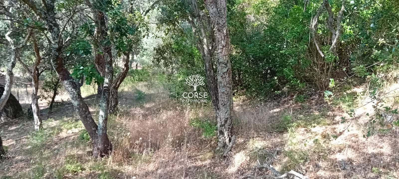 Terrain constructible - 1 280 m²