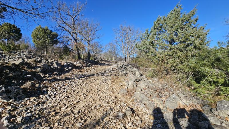 Terrain - 24 790 m²