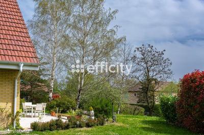 Maison - 232 m² - 8 pièces