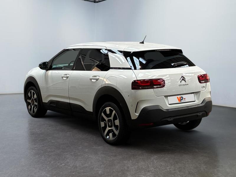 Citroën C4 Cactus Business PureTech 110 s&amp;S Bvm6 Shine