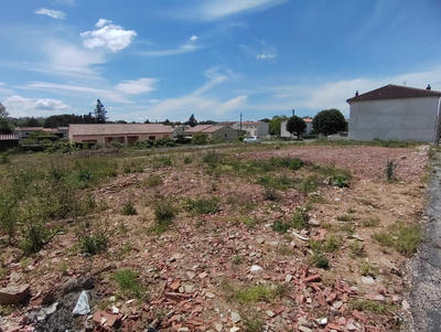 Terrain - 1 568 m²
