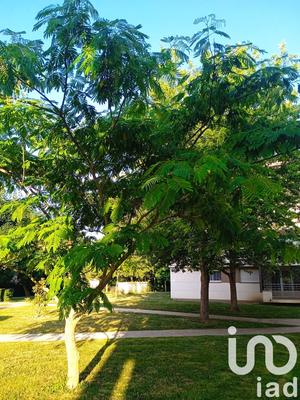 Appartement - 56 m² - 3 pièces