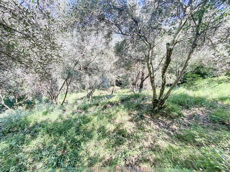 Terrain agricole - 11 360 m²
