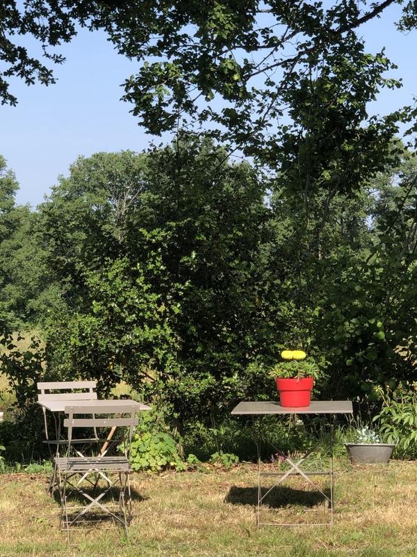 Auto-cueillette des myrtilles bio à la ferme