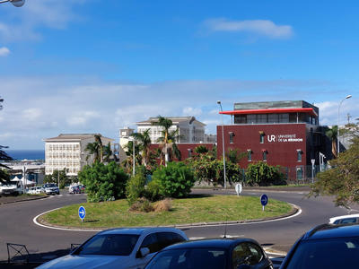 Appartement - 19 m² - 1 pièce