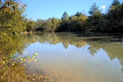 Maison de maîtres - 280 m² - 11 pièces