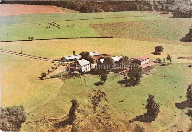 Propriété - 271 m² - 10 pièces