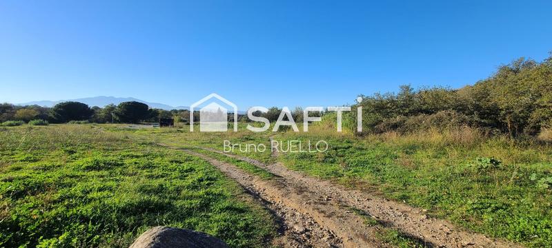 Terrain - 289 m²