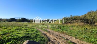 Terrain - 289 m²