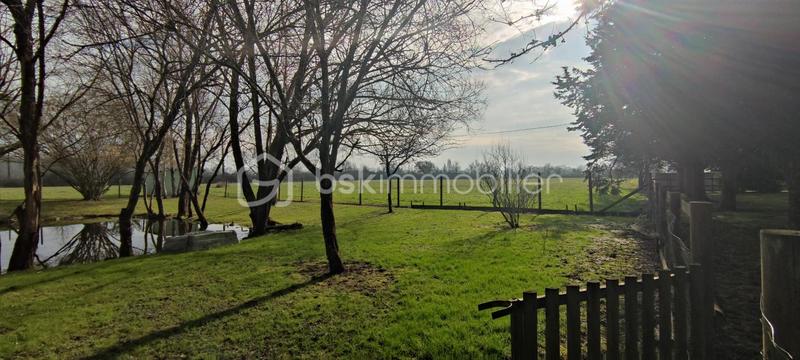 Propriété - 179 m² - 5 pièces