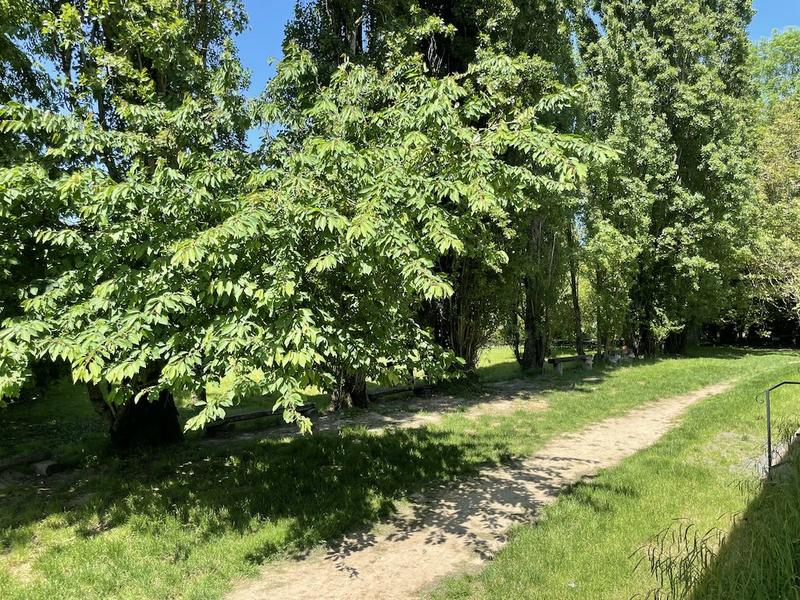 Ferme - 269 m² - 8 pièces