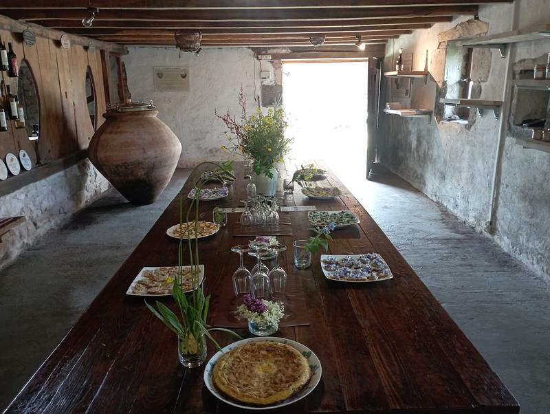 Le sentier des 5 sens au Domaine les Hauts de Riquets balade gourmande