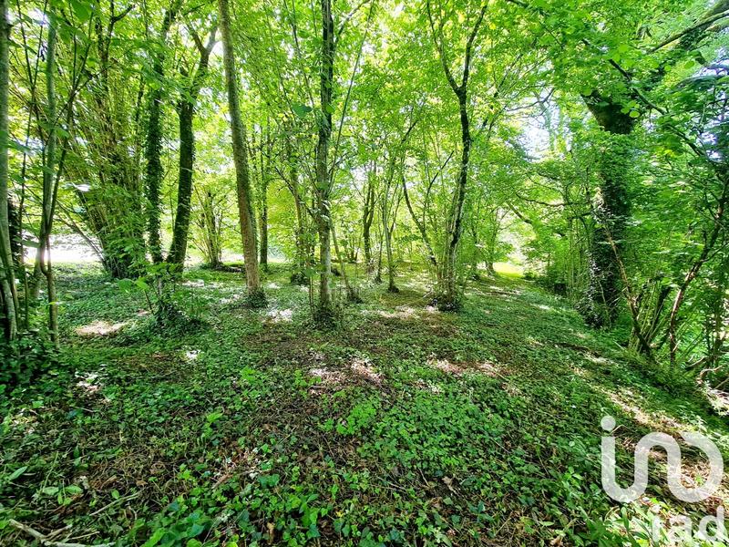 Maison de campagne - 92 m² - 5 pièces