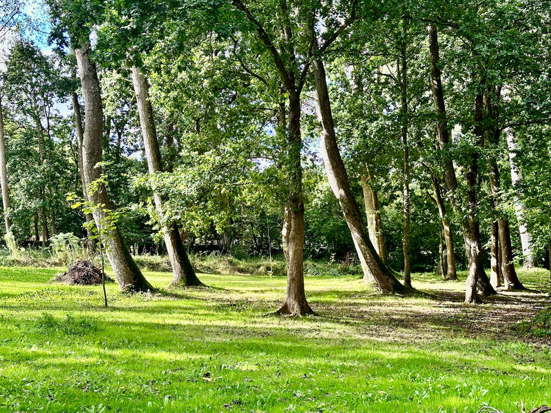 Maison contemporaine - 157 m² - 6 pièces