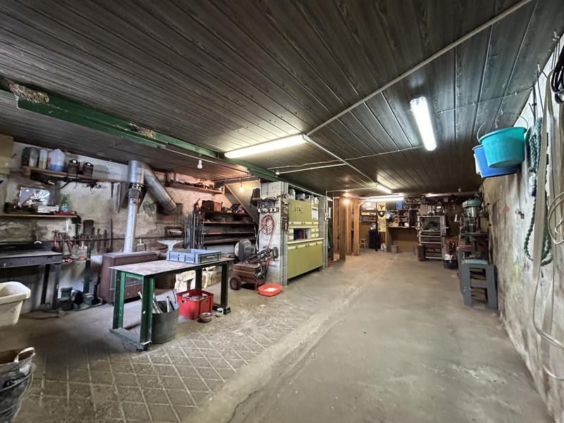 Viager - Maison ancienne - 156 m² - 5 pièces