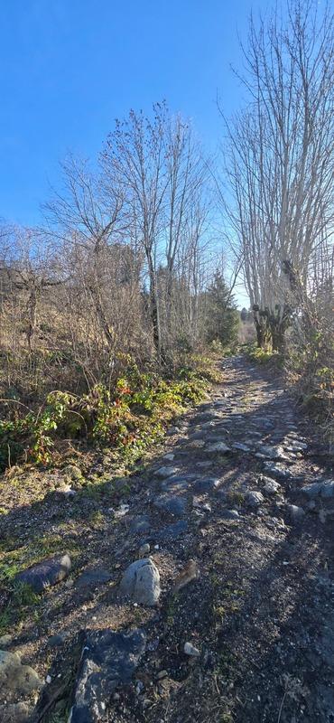 Grange - 50 m² - 1 pièce