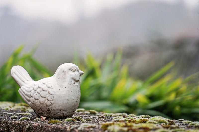 Maison - 222 m² - 8 pièces