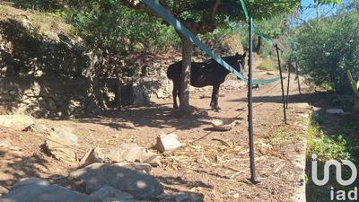 Maison - 134 m² - 6 pièces