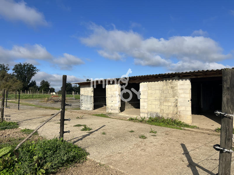 Propriété - 240 m² - 7 pièces