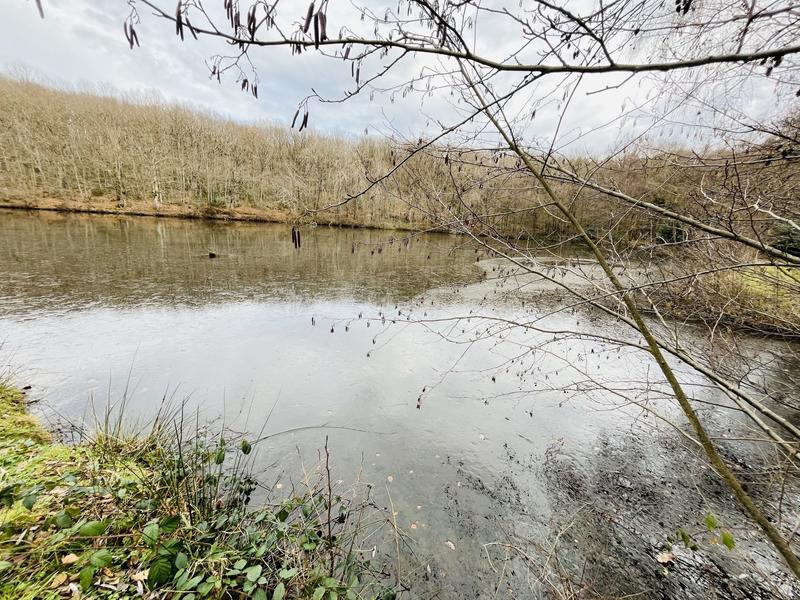 Terrain de loisirs - 6 500 m²