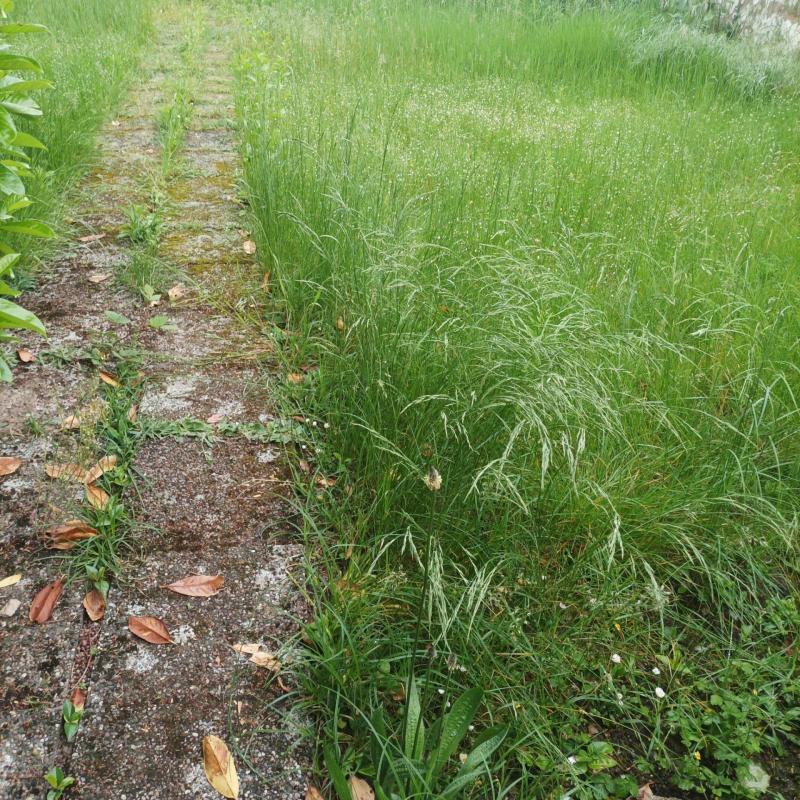 Terrain constructible - 327 m²