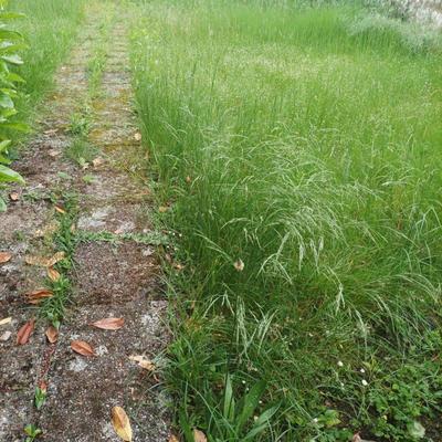 Terrain constructible - 327 m²